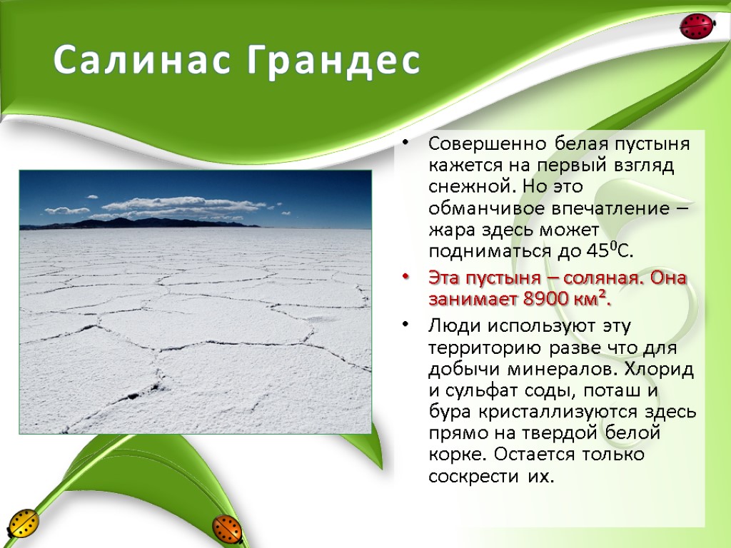 Салинас Грандес Совершенно белая пустыня кажется на первый взгляд снежной. Но это обманчивое впечатление